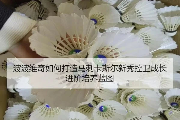 波波维奇如何打造马刺卡斯尔新秀控卫成长进阶培养蓝图