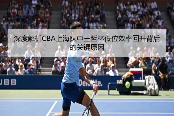 深度解析CBA上海队中王哲林低位效率回升背后的关键原因